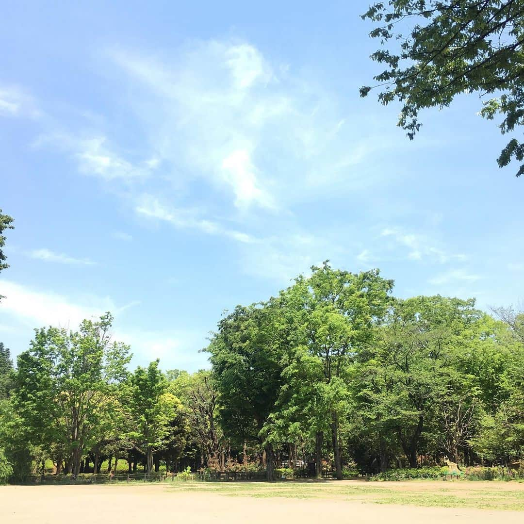 蒲生麻由さんのインスタグラム写真 - (蒲生麻由Instagram)「夏陽気の週末。 今日も息子と日課の公園遊び。 眩しい太陽と新緑が綺麗で癒されたー🌿 そんな景色の中走り回り、 無邪気に遊ぶ息子の姿と、 仲間に入れろと言わんばかりにお腹の中で暴れるベビー。 幸せで贅沢すぎる時間だわー🌸  #mamalife #ファインダーごしの私の世界 #男の子ママ #日課の公園遊び #新緑 #木漏れ日 #幸せなひと時 #もうすぐ妊娠後期突入 #妊婦 #既に苦しい #2人目妊娠中 #babyboy #2歳児」5月11日 23時13分 - mayugamo_lamana