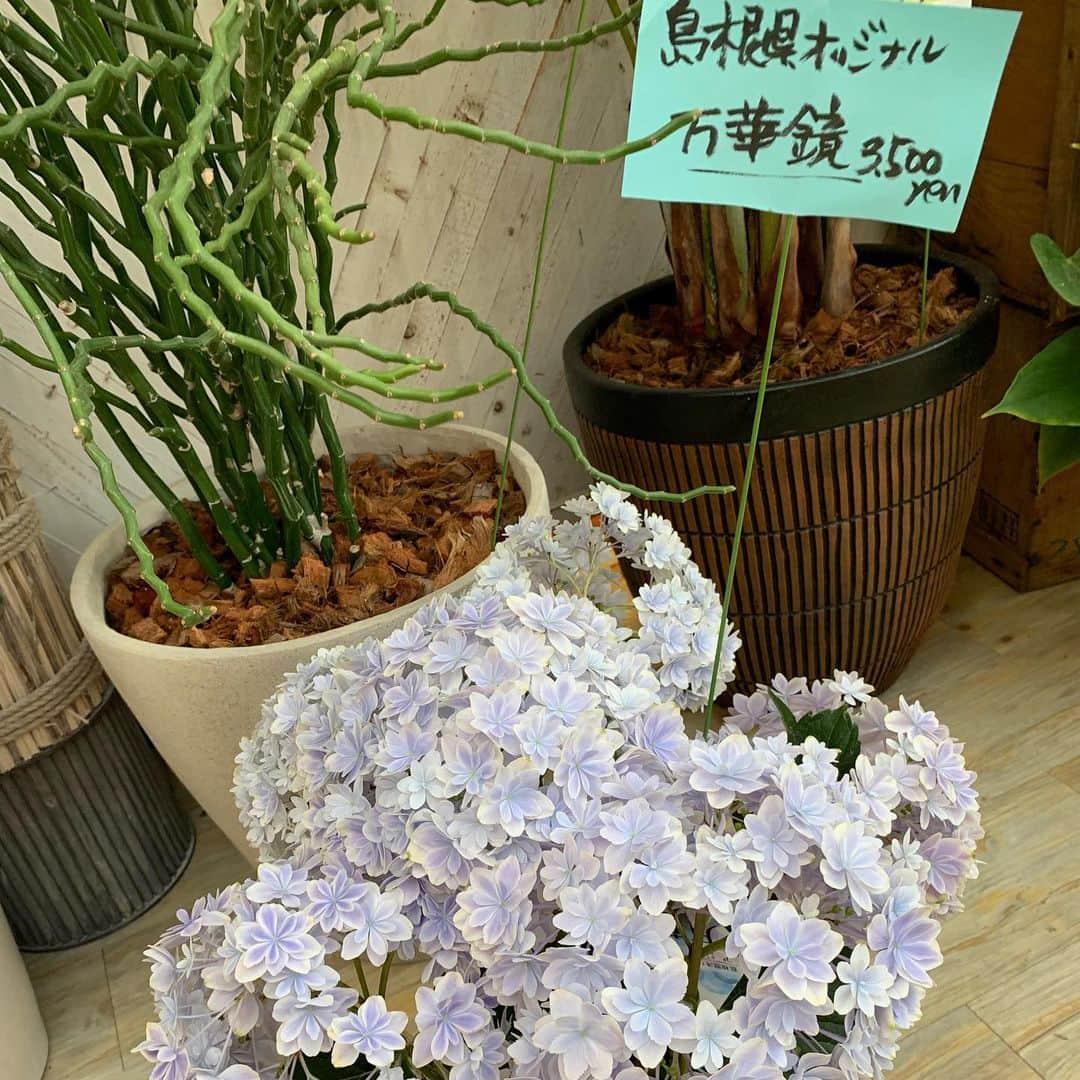 u-meK00000000 YUMIKO HORIKIRI ZUMBA さんのインスタグラム写真 - (u-meK00000000 YUMIKO HORIKIRI ZUMBA Instagram)「KARLY カーリーで限定のチキンカレー食べて、@tamaki_engei で母の日のプレゼントのお花を買ってきたよー😄 ・ 主人の実家のお庭に植えてガーデニングを楽しんでもらえるように選んでバスケットラッピングしてもらいましたっ✨ ・ 万華鏡という名の紫陽花も気になったし、 園芸店横のお菓子のみせ たま  も気になったので今度よってみよーっ😙 ・ #母の日 #ギフト #お花 #ガーデニング #島根 #おでかけ」5月11日 23時05分 - yumikohorikiri