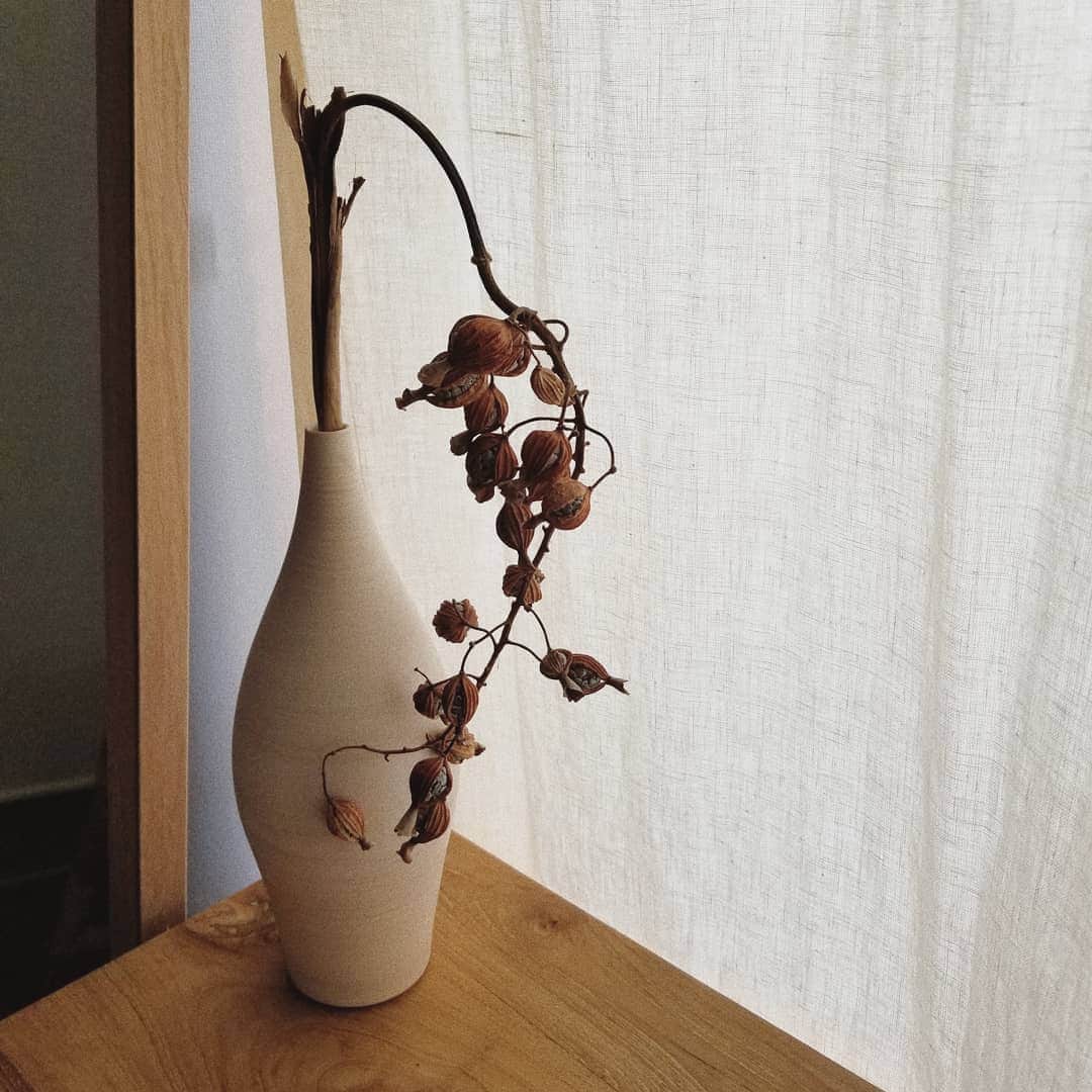 neokazumiのインスタグラム：「﻿ IifesのSEIECT ITEM﻿ ﻿ 3RD CERAMICSの﻿ ﻿ フラワーベース﻿ ﻿ 窓際のお気に入りの場所へ🌱﻿ 少しずつインテリアを変えていってて  ピンときて気に入ったものがあった時だけ  買うようにしてる  #lifes#3rdceramics#フラワーベース#インテリア#お部屋改造」
