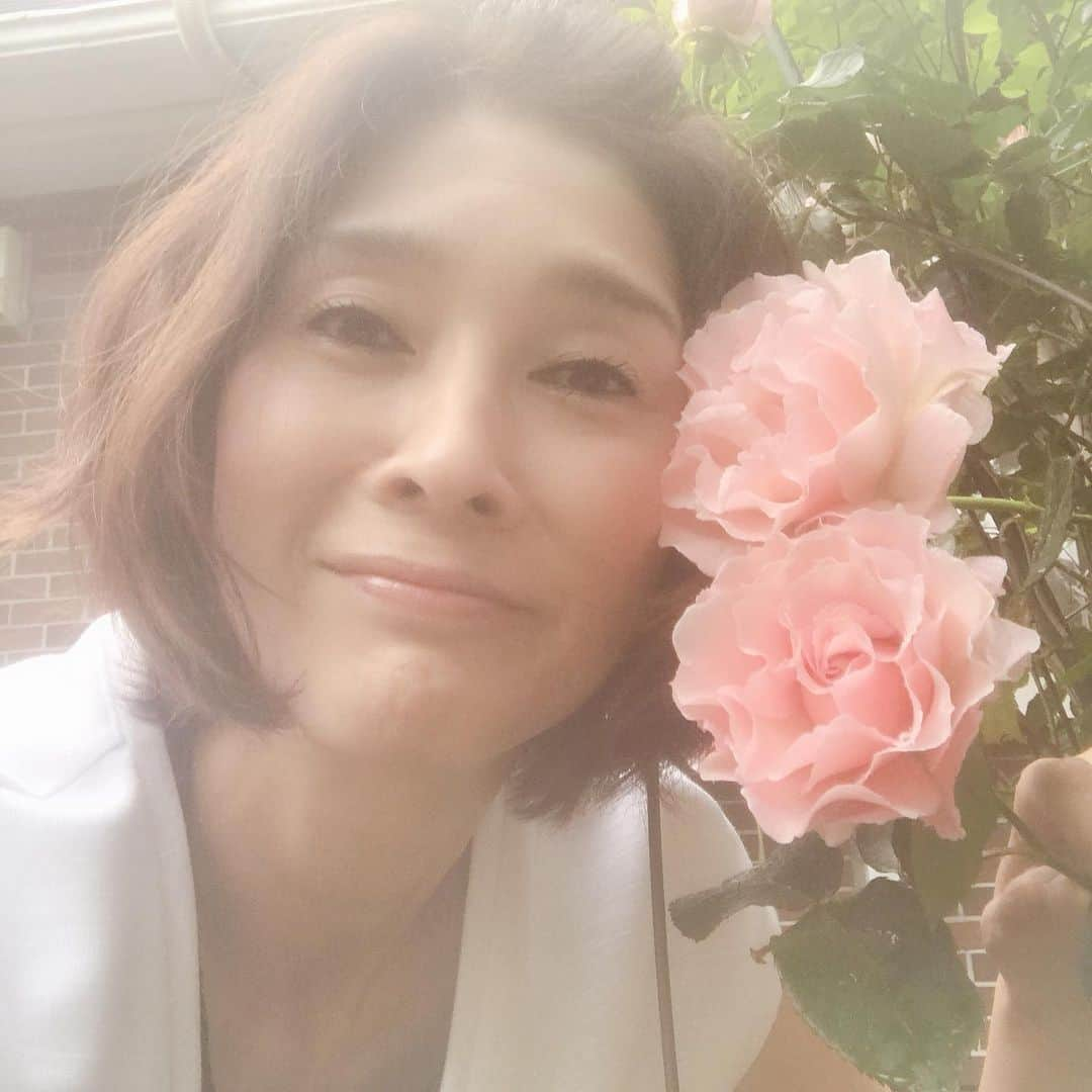 益子直美さんのインスタグラム写真 - (益子直美Instagram)「庭の花たちにパワーをもらって、行ってきます！ しかし、紅玉バラの成長嬉しい！  #garden  #gardening  #おはようございます  #いってきます  #sundaymorning  #おかあさんいつもありがとうございます  #バラ #rose」5月12日 8時54分 - naomi.masuko