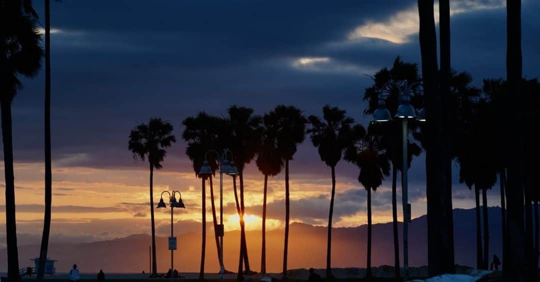 イリース・ケロンド・ナイトさんのインスタグラム写真 - (イリース・ケロンド・ナイトInstagram)「Well that was a spectacle. 🌴 Venice  #kellondknightphotography #landscapephotography #travelphotography #sunset」5月12日 9時02分 - elise_kk8