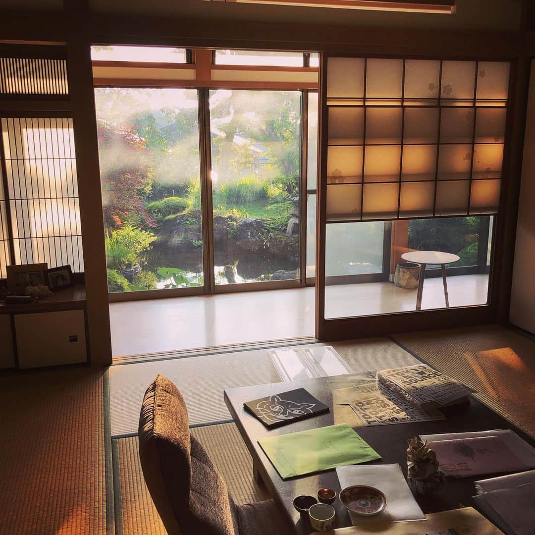 町田康さんのインスタグラム写真 - (町田康Instagram)「朝日がポン。昇ってポン。」5月12日 9時20分 - inunekosonota
