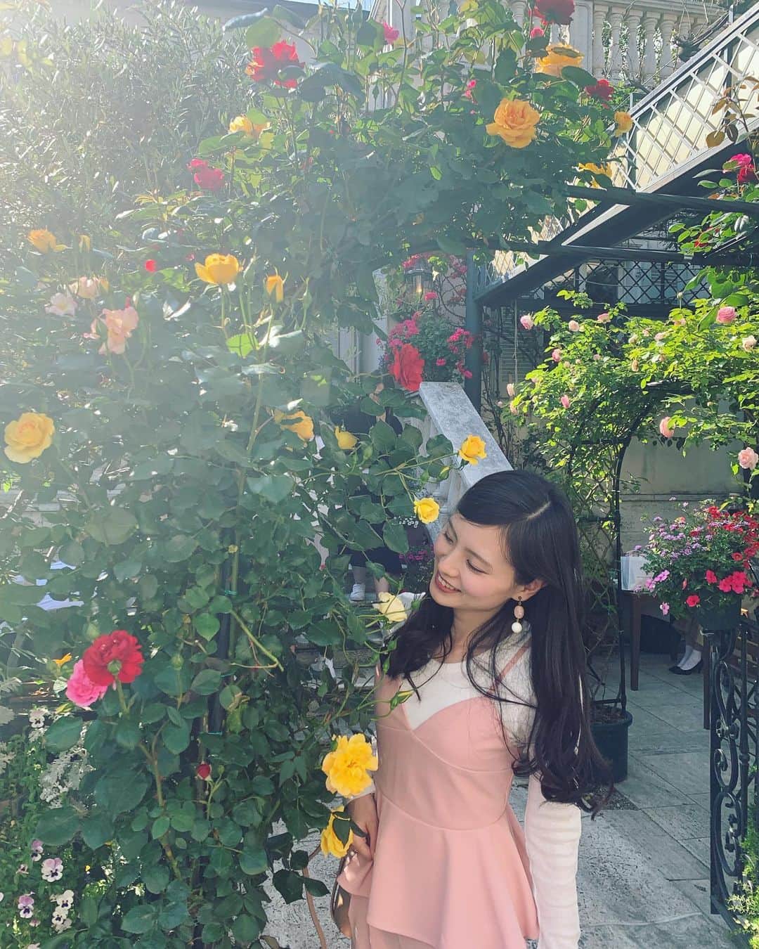 朝見心のインスタグラム：「(∵) 昨日ランチしたお店のお花が満開で可愛かった 諒子ちゃんが撮ってくれる写真好き 好きな人に撮ってもらう写真好き」