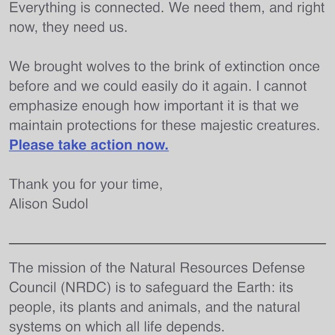 ファイン・フレンジーさんのインスタグラム写真 - (ファイン・フレンジーInstagram)「its very trippy when an email you wrote for the @nrdc_org then comes into your inbox. I am quite proud of this. there’s a lot more I want to say about this. tbc. in the meantime, please visit the NRDC to find out more about the actions needed to be taken to protect these magnificent creatures 🐺 ♥️ ** I actually need to work out how to post a link on here please see my twitter page for a proper link, Instagram is baffling **」5月12日 9時37分 - alisonsudol