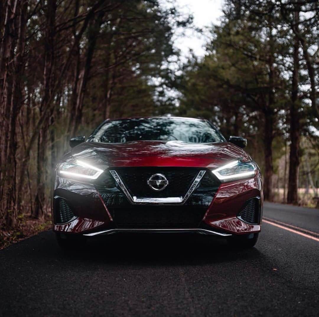 Nissanさんのインスタグラム写真 - (NissanInstagram)「If a Maxima drives through a forest, does it make a sound? Yes. #NissanMaxima #Nissan #Maxima 📷: @maxima_drivers」5月12日 10時00分 - nissan