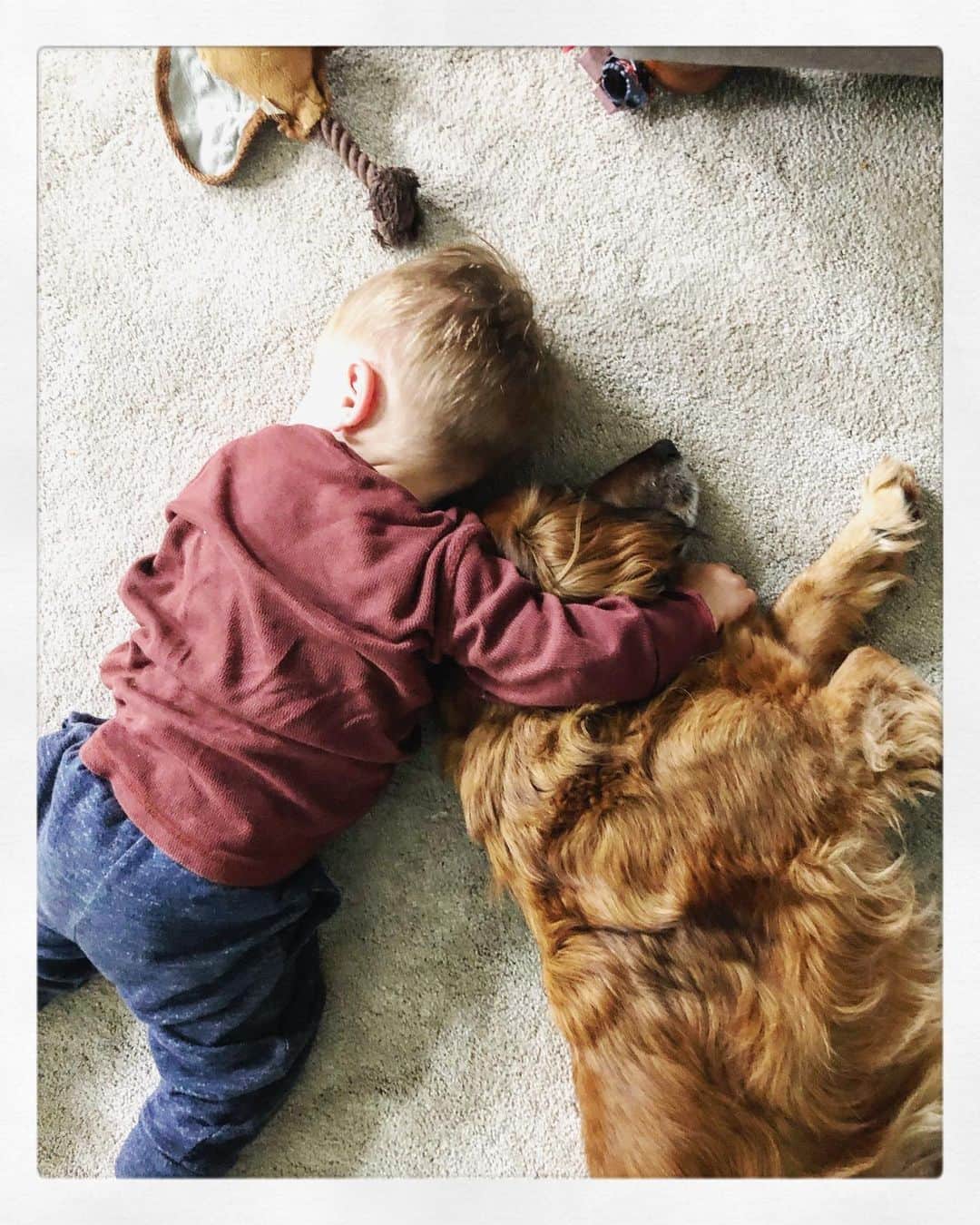 ヘレン・スケルトンさんのインスタグラム写真 - (ヘレン・スケルトンInstagram)「Besties xxx #dogs #snuggles #mansbestfriend #barney #bluepeterdog #toddlers #weekendvibes」5月12日 1時14分 - helenskelton