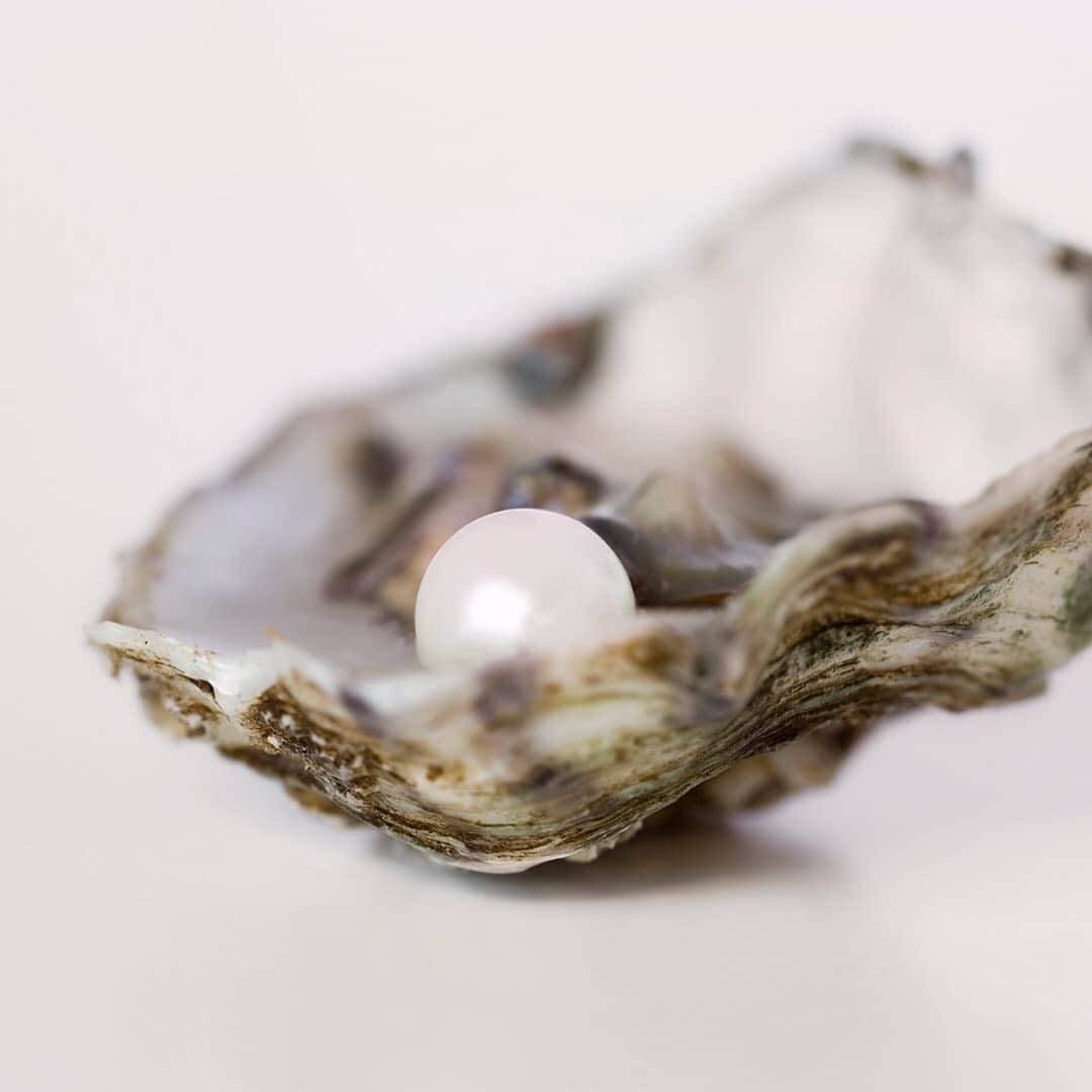 デビッドヤーマンのインスタグラム：「Mother of pearls. • Like the wonderful women we call Mom, oysters make the world a more beautiful place. Over time, they transform grains of sand into lustrous pearls. • #MothersDay #DavidYurman」