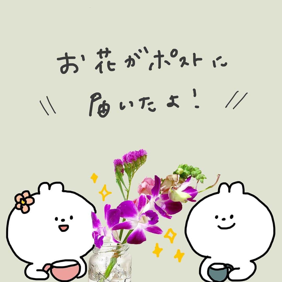 おもちのインスタグラム：「ーPR投稿ですー ====== 日本初！ めざましテレビでも紹介された、 今話題のお花の定期便 @bloomeelifeさんからお花が届きました！  部屋にお花が飾ってあると つい写真が撮りたくなる😌✨ 彼に自慢しようと思います！笑  季節のお花がポストに届くなんて ポスト覗くのが楽しみになりますね(^o^)/ もっとお花詳しくなりたいです  クーポンコード：REIWA141 有効期限：2019年7月31日  今Bloomee LIFEさんでは登録してくださった方に 「初回無料クーポン✨」 がプレゼントされるそうですよ✨ ぜひこの機会に！٩( 'ω' )و  #bloomeelife #イラスト #エッセイ #イラスト好きな人と繋がりたい」