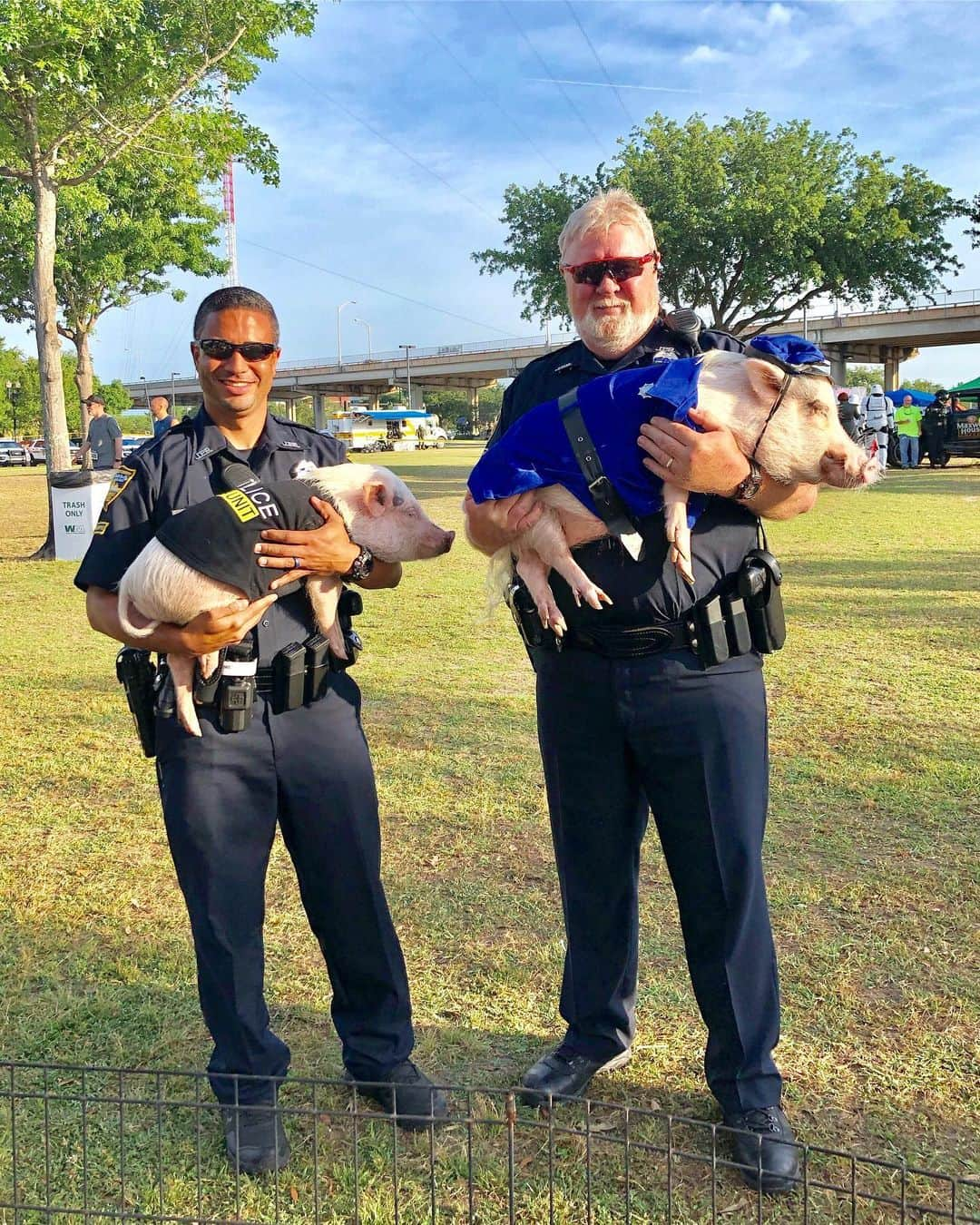 Priscilla and Poppletonさんのインスタグラム写真 - (Priscilla and PoppletonInstagram)「Pop the Cop and Penn from the Police Porcine Unit were in HOG HEAVEN this morning hanging out with the friendly officers from @jaxsheriff. ThOINKS to everyone who came out and supported @k9sunited by running in today’s race. We are so piggy proud that our vet, Atlantic Veterinary Hospital supports such a great cause!!!!! 🚓👮🏻‍♂️👮🏻‍♂️🐷🐷#PoptheCop #k9sunited #jacksonville #policeman #PopandPenn #PrissyandPop」5月12日 1時48分 - prissy_pig