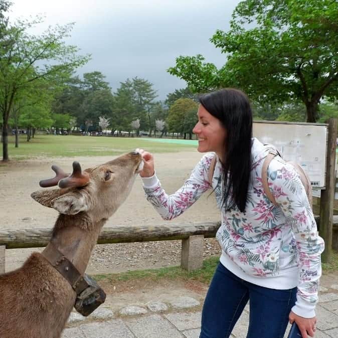 シャルレーヌ・ギニャールさんのインスタグラム写真 - (シャルレーヌ・ギニャールInstagram)「Our friends in Nara 🦌 #vacation #japan #🇯🇵 #nara #bambi #deers #🦌 #love #funny #socute #kiss #happy #memories」5月12日 2時29分 - charleneguignard