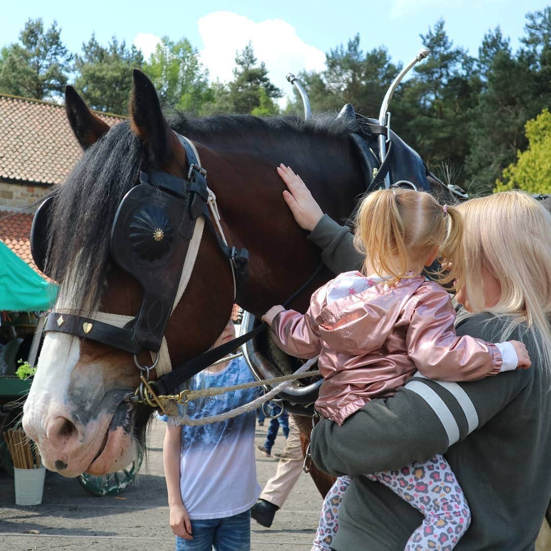 のインスタグラム：「All the fun of the (Georgian) Fair! Who did you meet at Beamish today?」