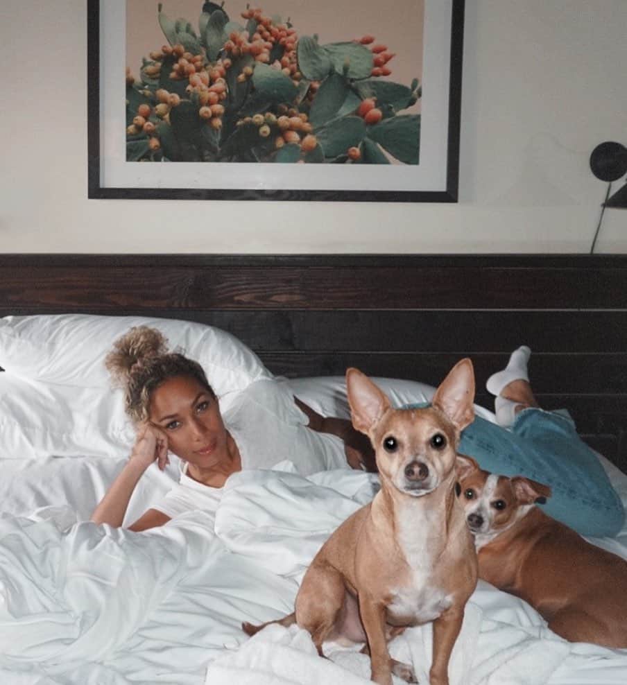 レオナ・ルイスのインスタグラム：「Family portrait 👩🏽‍🦱🐶🐶」