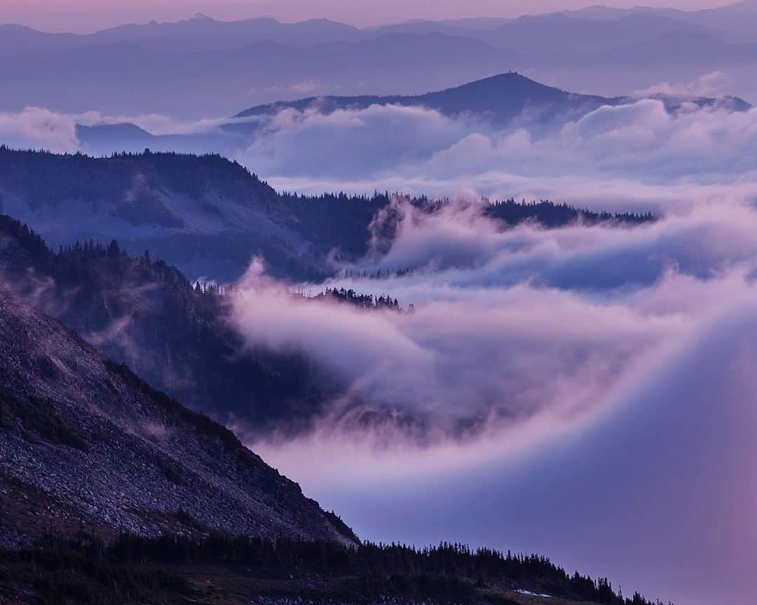 National Geographic Travelさんのインスタグラム写真 - (National Geographic TravelInstagram)「Photo @stephen_matera | It's fairly common to get low clouds (often referred to as a marine layer) in the Puget Sound and along the west slope of the Cascades in summertime. When you're underneath those clouds, it feels like a dreary summer day. But get above the clouds and it feels like you are on top of the world. The trick is knowing when it's happening, and getting up above. Follow me @stephen_matera for more images like this from Washington and around the world. #sunset #clouds #fog #pacificnorthwest」5月12日 4時07分 - natgeotravel