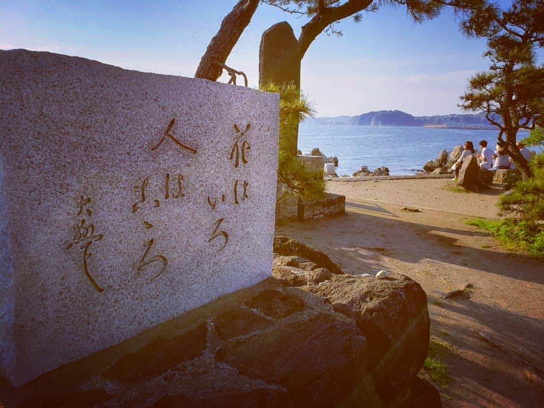 上杉隆さんのインスタグラム写真 - (上杉隆Instagram)「「花はいろ　人はこころ」 #堀口大學」5月12日 10時17分 - takashiuesugi