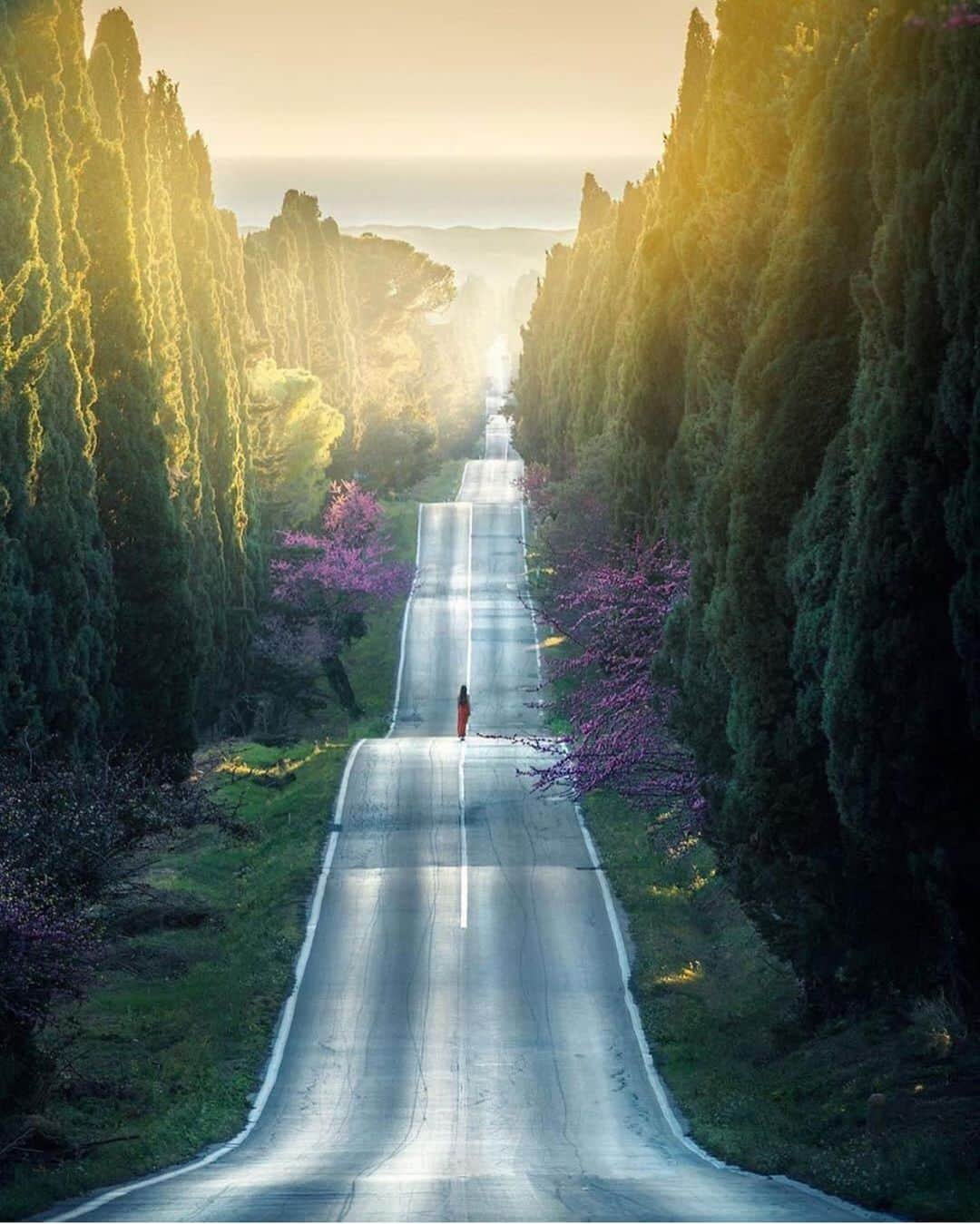 Wonderful Placesさんのインスタグラム写真 - (Wonderful PlacesInstagram)「Tuscany ✨💚💚💚✨ . Picture by ✨✨@ilhan1077✨✨ #wonderful_places for a feature 💚」5月12日 5時14分 - wonderful_places