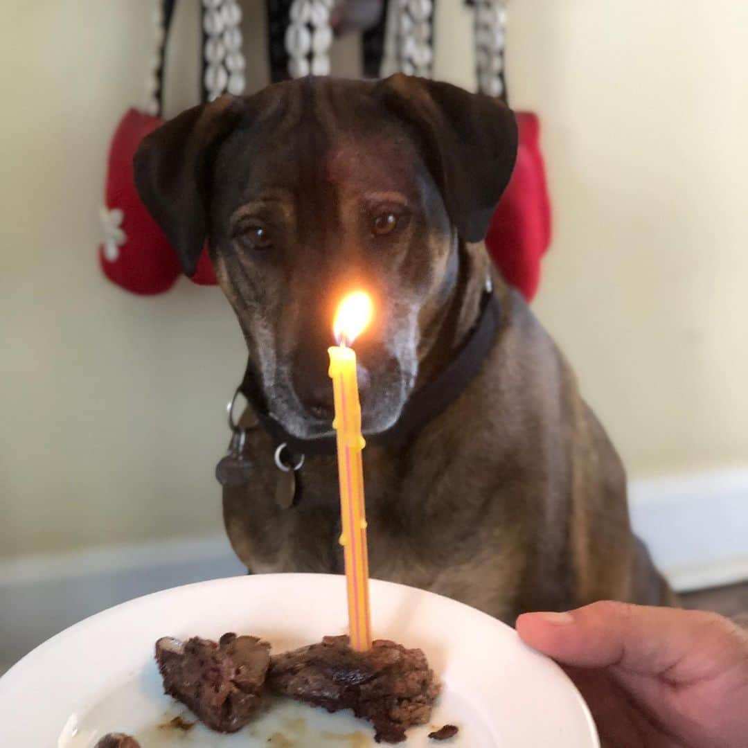 レベッカ・ウィソッキーさんのインスタグラム写真 - (レベッカ・ウィソッキーInstagram)「Chicken liver birthday cake by @lapchichu We’re not crazy. You’re crazy.」5月12日 6時39分 - rebeccawisocky