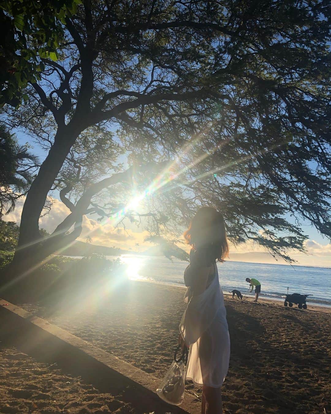 沢田ゆうのインスタグラム：「Day3. #hawaii #kaharabeach #morning #shooting」