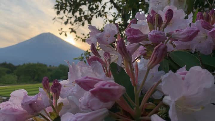 phantastic420のインスタグラム：「. 🤩🤩“Shizuoka” prefecture in Japan is a place where you can see the most “phantastic” Mt. Fuji🗻 in the world.🤩 #富士山 #mtfuji #japan #shizuoka #fujinomiya  #phantastic420photography #mostphantasticmtfuji #selamatpagi  #goodmorning  #おはようございます 😇😇😇😇😇😇😇🗻😇😇 今朝は雲も焼けもなく何を撮って良いかわからなかったので🤣昨日の素晴らしい☁を🤩」