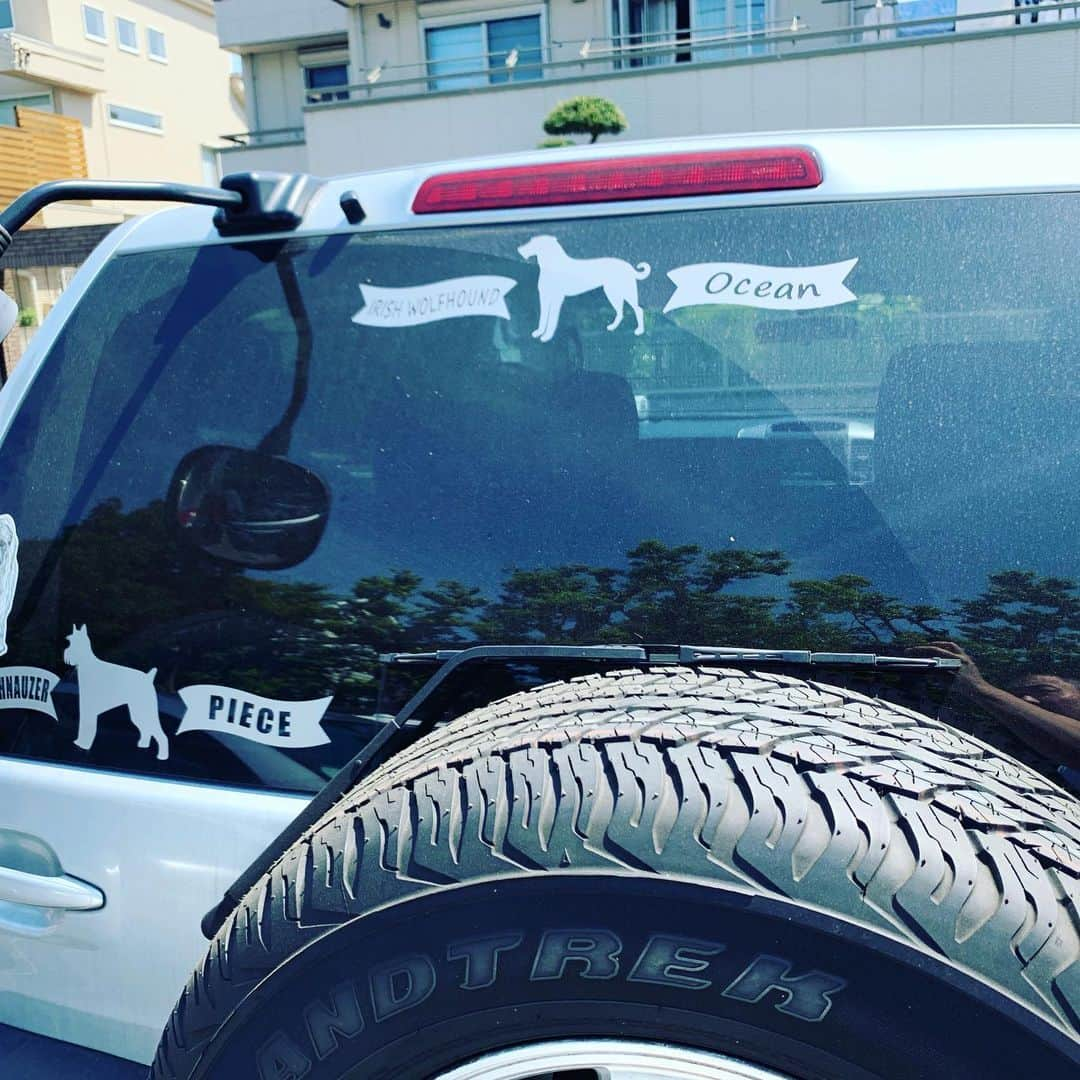 信沢Hitoshiさんのインスタグラム写真 - (信沢HitoshiInstagram)「僕の車、オーシャンとの思い出の車だったから、なかなか、乗り換えれなかったけど、決心しました！ 本当に、寂しいなー！ オーシャンとピースのステッカー作って貼ったけど、犬バカの、あるあるだなー！笑  沢山、オーシャンと、遠出して、病院に、100回は連れて行ってもらって、助けてもらったかな！ ありがとう！」5月12日 7時46分 - nobusawahitoshi