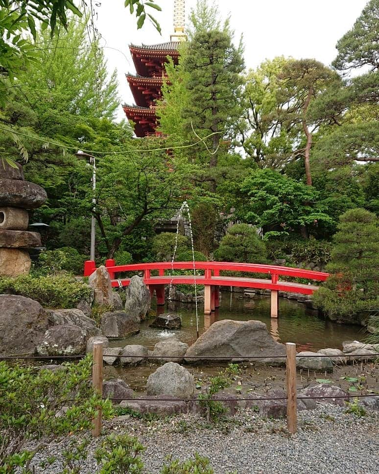 大林素子さんのインスタグラム写真 - (大林素子Instagram)「高幡不動よりJCOMさんの 生中継、９時からスタート♥️ ひの新選組まつり」5月12日 8時14分 - m.oobayashi