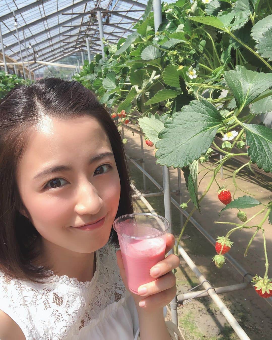 えのきさりなのインスタグラム：「. 令和初投稿 #ガイヤファーム #千葉 #撮影 #いちご #いちご狩り」
