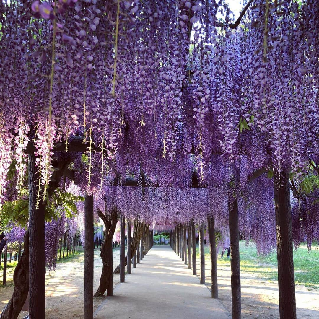 Naomiのグルメインスタ