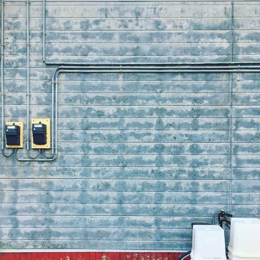 まめのインスタグラム：「👀 . . チャリ隠し🚲 . #ザ壁部 #ihaveathingforwalls #walls_talking . #mwjp #igersjp #instagramjapan #indies_minimal #hueart_life #reco_ig #shotoniphone」