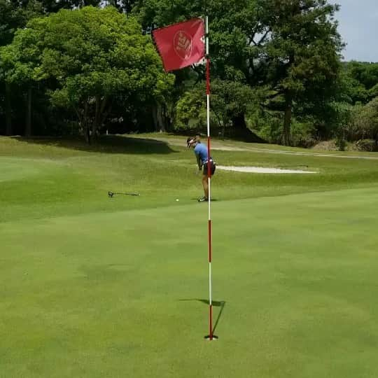 新井里茄のインスタグラム