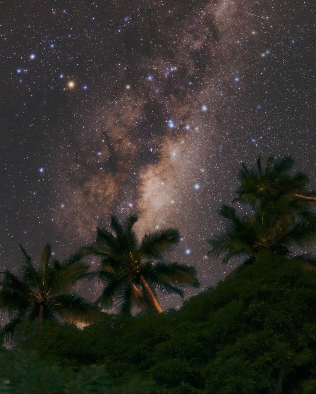 National Geographic Travelさんのインスタグラム写真 - (National Geographic TravelInstagram)「Photo by @BabakTafreshi | On this early morning hour of Ilha Grande in Brazil, the sound of brown howler monkeys was breaking into the silence of night. I was looking overhead to the coconut trees reaching towards the Galaxy. Near the top is constellation Scorpius with bright orange star Antares, marking the heart of the celestial scorpion. Located off the coast of Rio de Janeiro state, the island has a large protected area, home to a dense forest and coastal wonders. Explore more of The World at Night photography @babaktafreshi. #saveournightsky #twanight #ilhagrande #antares #astrophotography」5月12日 19時11分 - natgeotravel