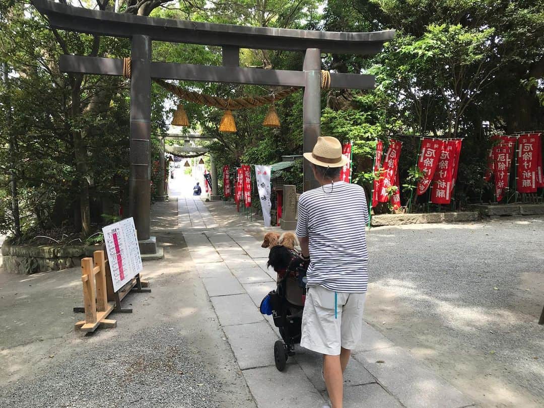 メルロコ一家の楽屋裏さんのインスタグラム写真 - (メルロコ一家の楽屋裏Instagram)「#鎌倉#三雲神社」5月12日 10時23分 - merulocomocodon