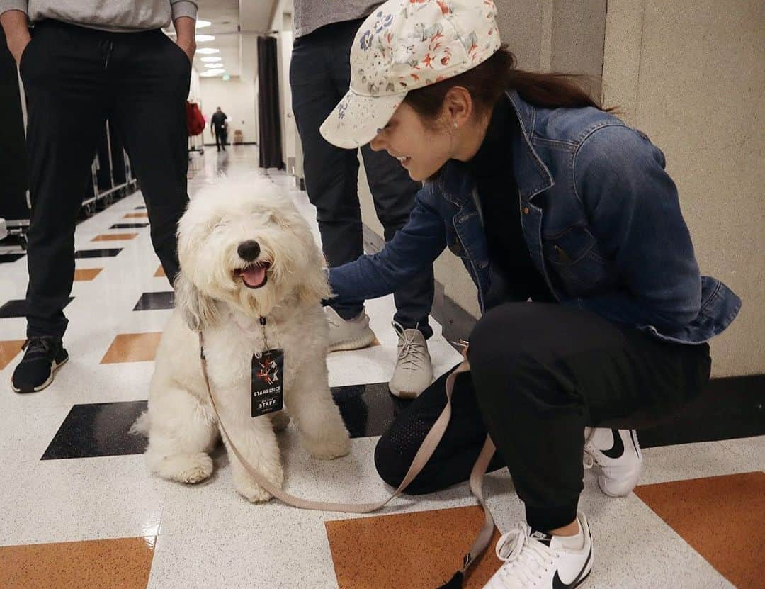 メリル・デイヴィスさんのインスタグラム写真 - (メリル・デイヴィスInstagram)「The fuzziest member of @starsonice #starsonice 🌟」5月12日 10時35分 - meryledavis