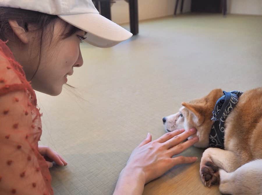 CHIHARUさんのインスタグラム写真 - (CHIHARUInstagram)「ワン、も、好き。「ワン！」🐕🐕🐕🐕🐕 #dog #cafe #animal #cute #japan #kanagawa #kamakura #instaanimal #instalike #instagood #followme」5月12日 11時27分 - chihalook1108