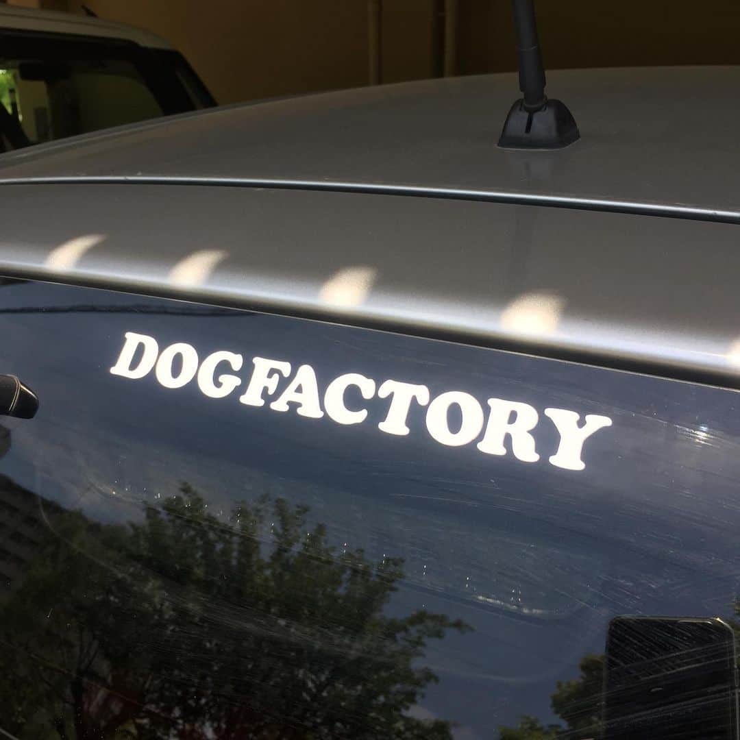 Dogfactoryさんのインスタグラム写真 - (DogfactoryInstagram)「白のカッティングシートで ウィンドウステッカーを 作ってみました！ #カッティングシート #ウィンドウステッカー」5月12日 11時47分 - dogfactory_japan