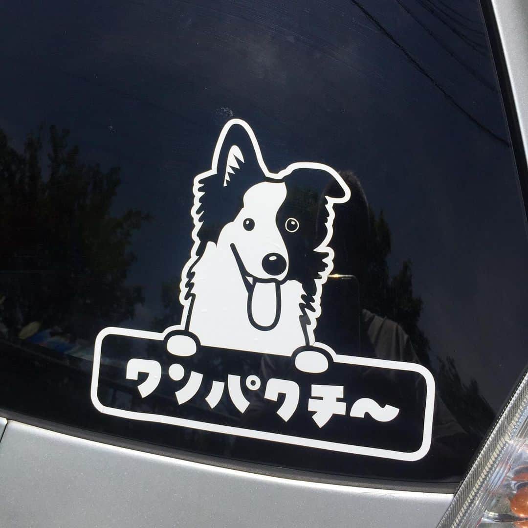 Dogfactoryさんのインスタグラム写真 - (DogfactoryInstagram)「白のカッティングシートで ウィンドウステッカーを 作ってみました！ #カッティングシート #ウィンドウステッカー」5月12日 11時47分 - dogfactory_japan