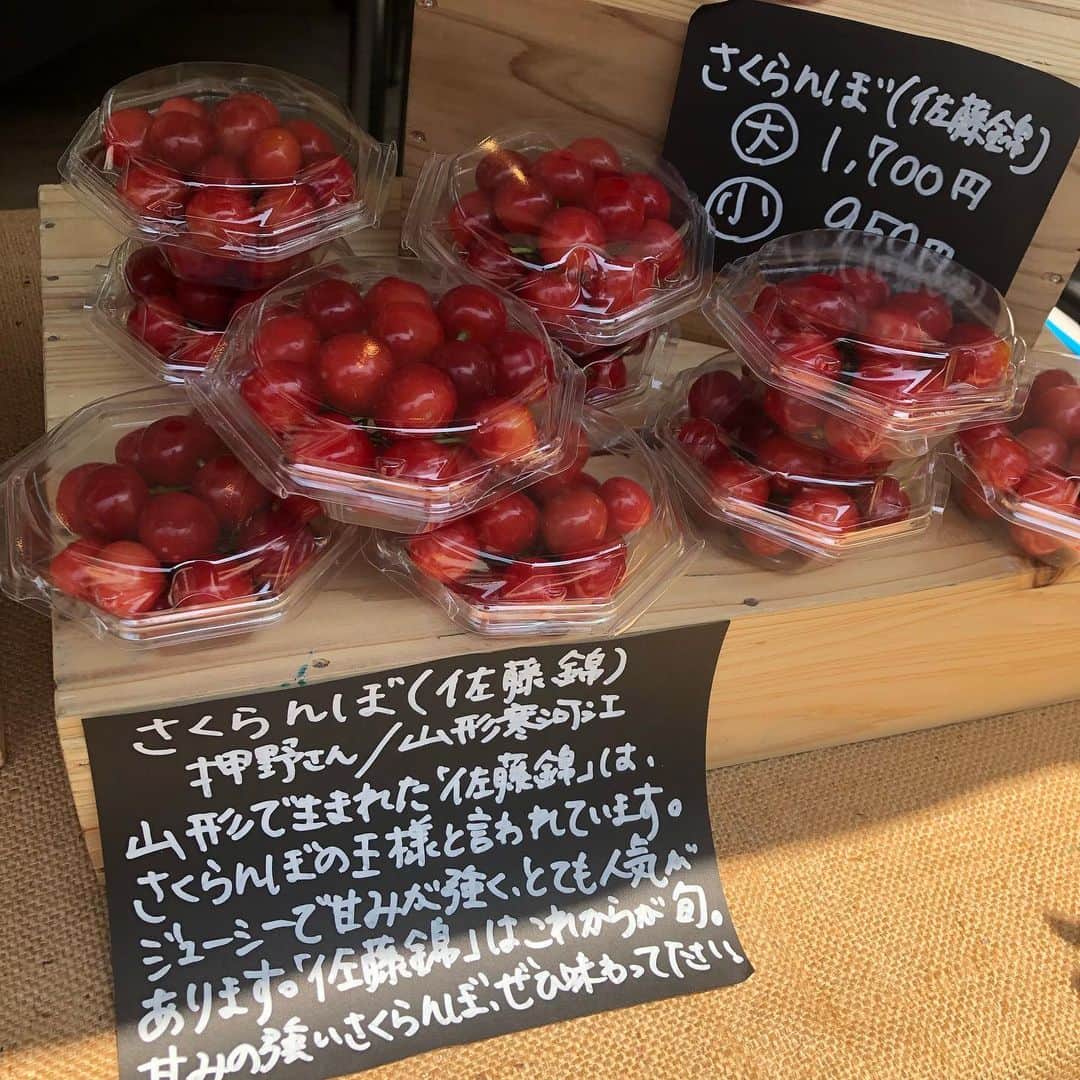 800DEGREES JAPANさんのインスタグラム写真 - (800DEGREES JAPANInstagram)「ルミネアグリマルシェin南青山、開催しております！ 本日は母の日のギフトにもなる、ローズリーフ入りティーや、さくらんぼ(佐藤錦)がラインナップ！ 宮崎県産の伝統野菜、佐土原ナスなどこだわりの野菜を販売しています！16時までなので、ぜひ日曜日のお出かけの合間にいらしてください！ #800degrees #800degreesjapan #南青山 #表参道 #マルシェ #ルミネアグリマルシェ #nakairosefarm #佐藤錦 #佐藤錦🍒 #vegery」5月12日 12時01分 - 800degrees_japan