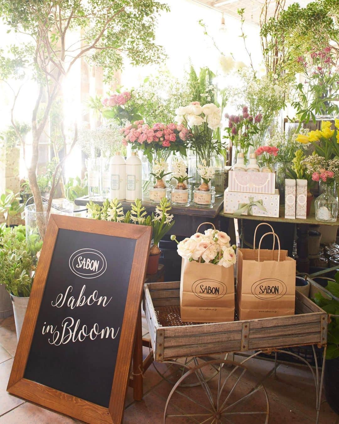 SABON Japanのインスタグラム