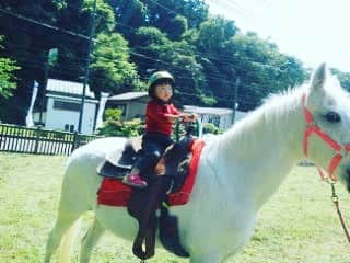 のインスタグラム：「#ツルピカタマゴちゃん お留守番中に、なんと！ #初めての乗馬 ‼️‼️ 「ひとりで乗るの！！！」と進んで乗ったそうです。 やっぱり来年はアルバイト始めるかもなぁ  おうまの親子は仲良しこよしーって よく歌ってたので、本物に乗れて良かったね‼️ #明日からうまのりされるの間違いなし  #鎌倉馬のいる街プロジェクト  https://www.kamakurahorse.org」