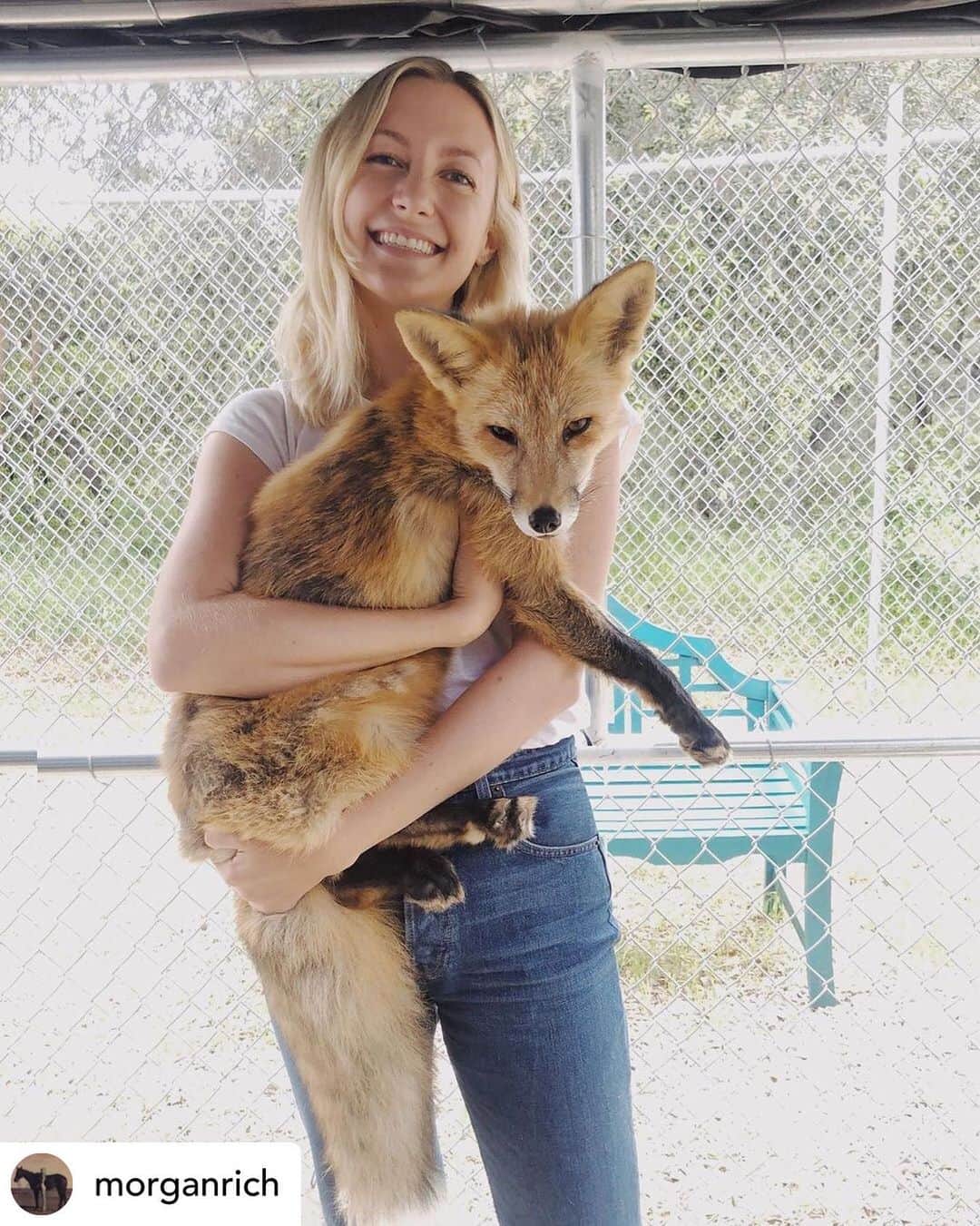 Rylaiのインスタグラム