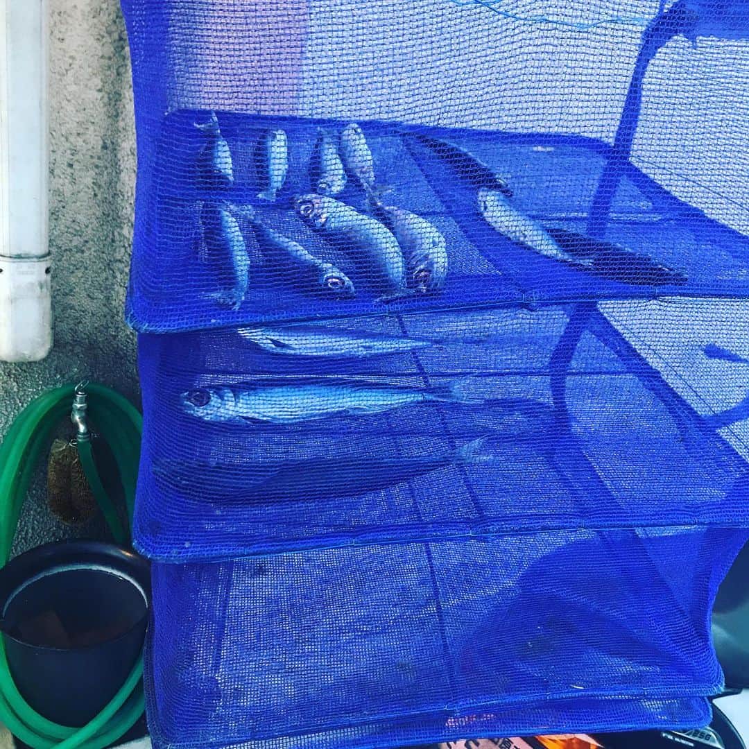 遠山正道のグルメインスタ