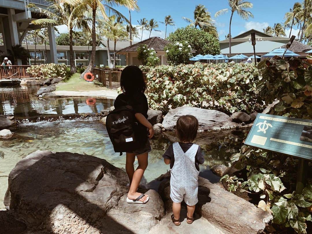 春名亜美さんのインスタグラム写真 - (春名亜美Instagram)「kahala hotelに来ると、息子達がイルカやウミガメ、魚を見たくて、1時間は帰れない🐬🐢🐠 でもこんな近くでイルカやウミガメを見れる事ってなかなかないもんね🌺 #気がすむまで見てください #気がすむ頃にはまっ黒👶🏽👦🏽👩🏽 ・ ・ ・ #kahalahotel #kahalahotelandresort #カハラホテル #Hawaii #ハワイ #ハワイ生活 #hawaiilife #ハワイ暮らし」5月12日 13時17分 - amiharunaami