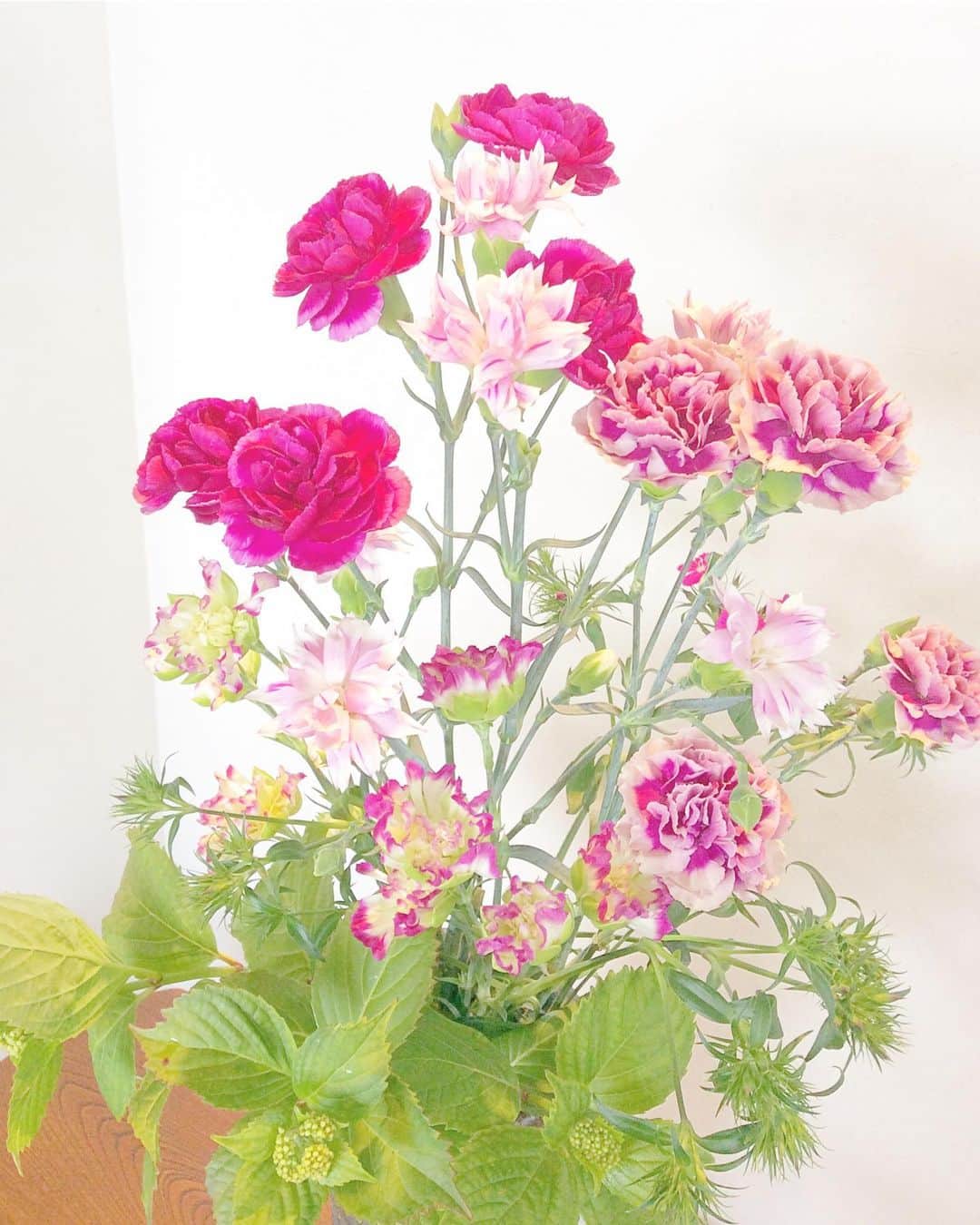 祥吉さんのインスタグラム写真 - (祥吉Instagram)「今日は母の日 カーネーションに想いをのせて… 「お母さんいつもありがとう」 #母の日 #いつもありがとう#花#カーネーション#flower」5月12日 13時47分 - akoshokichi