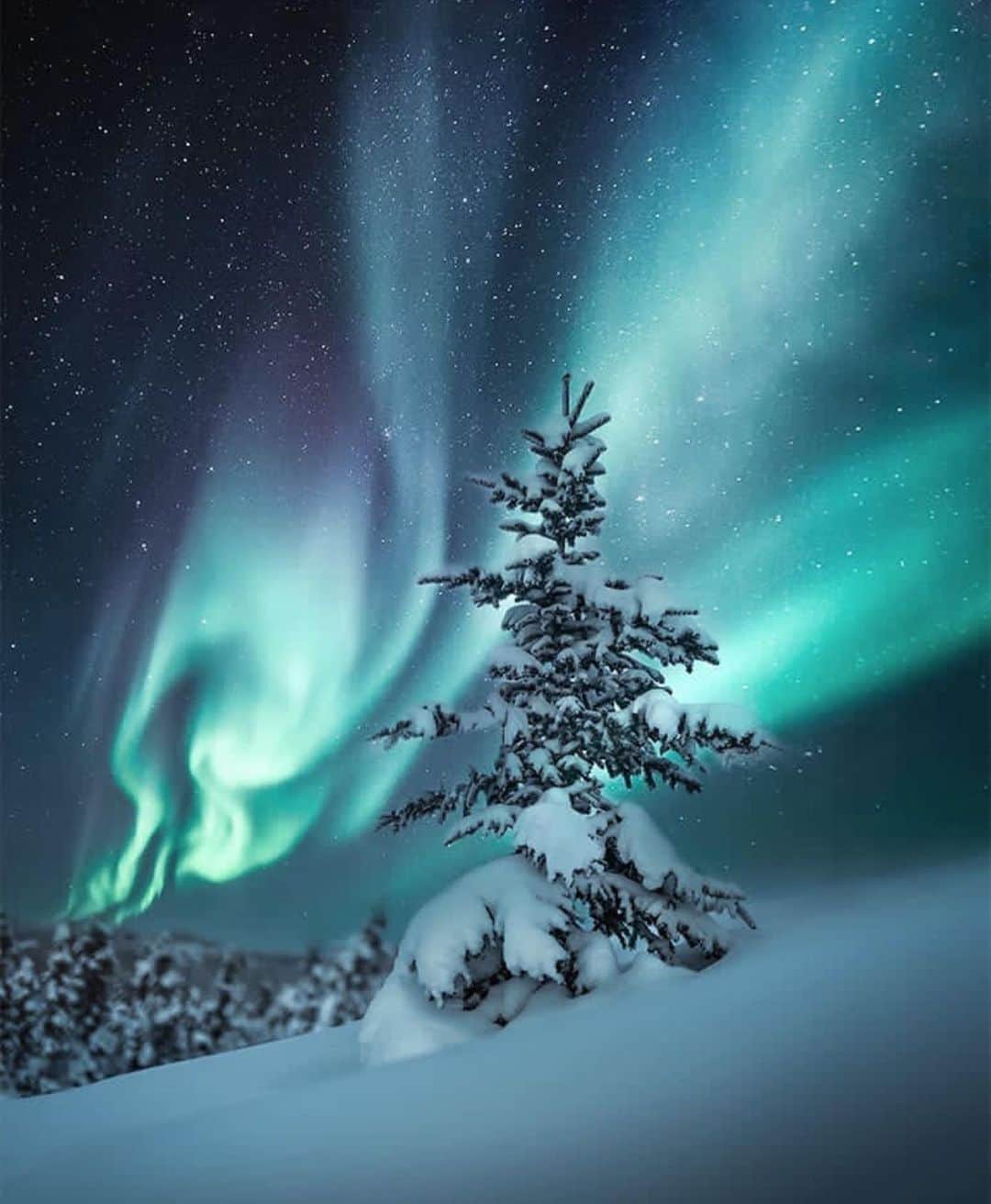 Wonderful Placesさんのインスタグラム写真 - (Wonderful PlacesInstagram)「Northwest Territories ✨💚💚💚✨ . Pictures by ✨✨@dreamingandwandering✨✨ #wonderful_places for a feature 💚」5月12日 13時43分 - wonderful_places