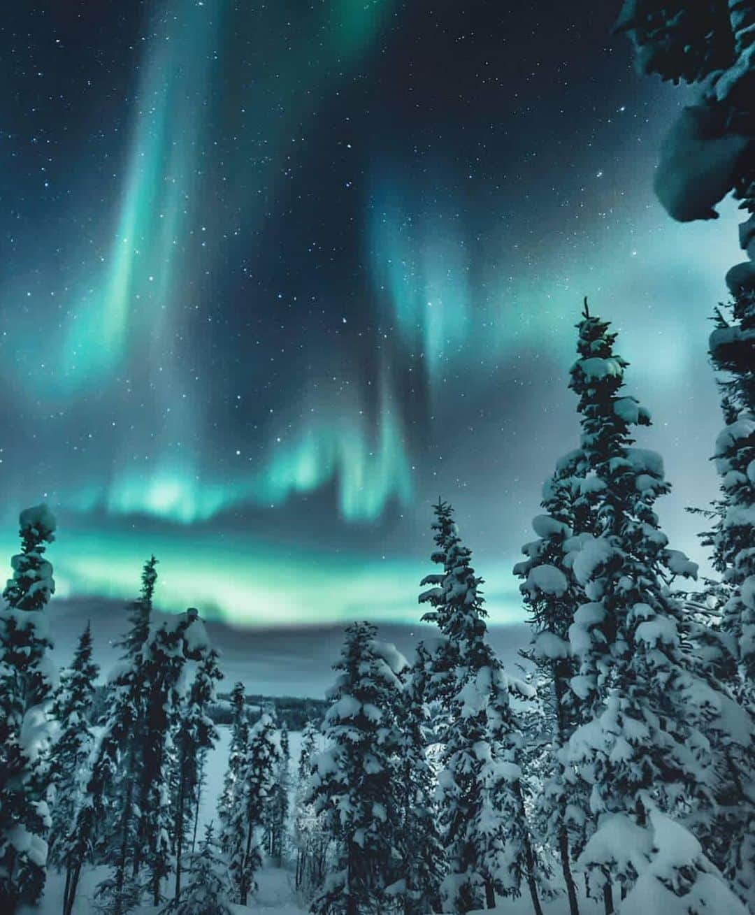 Wonderful Placesさんのインスタグラム写真 - (Wonderful PlacesInstagram)「Northwest Territories ✨💚💚💚✨ . Pictures by ✨✨@dreamingandwandering✨✨ #wonderful_places for a feature 💚」5月12日 13時43分 - wonderful_places