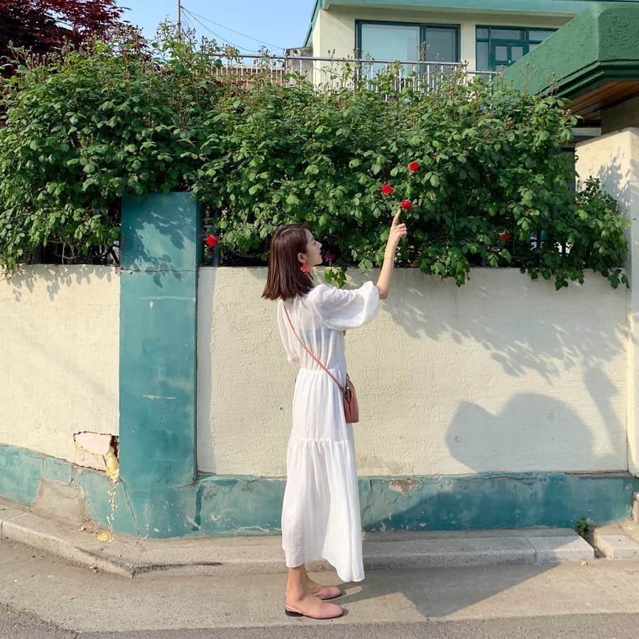 ミナ さんのインスタグラム写真 - (ミナ Instagram)「100장 중에 이제 10장 올렸다🌹😳」5月12日 14時03分 - blossomh_