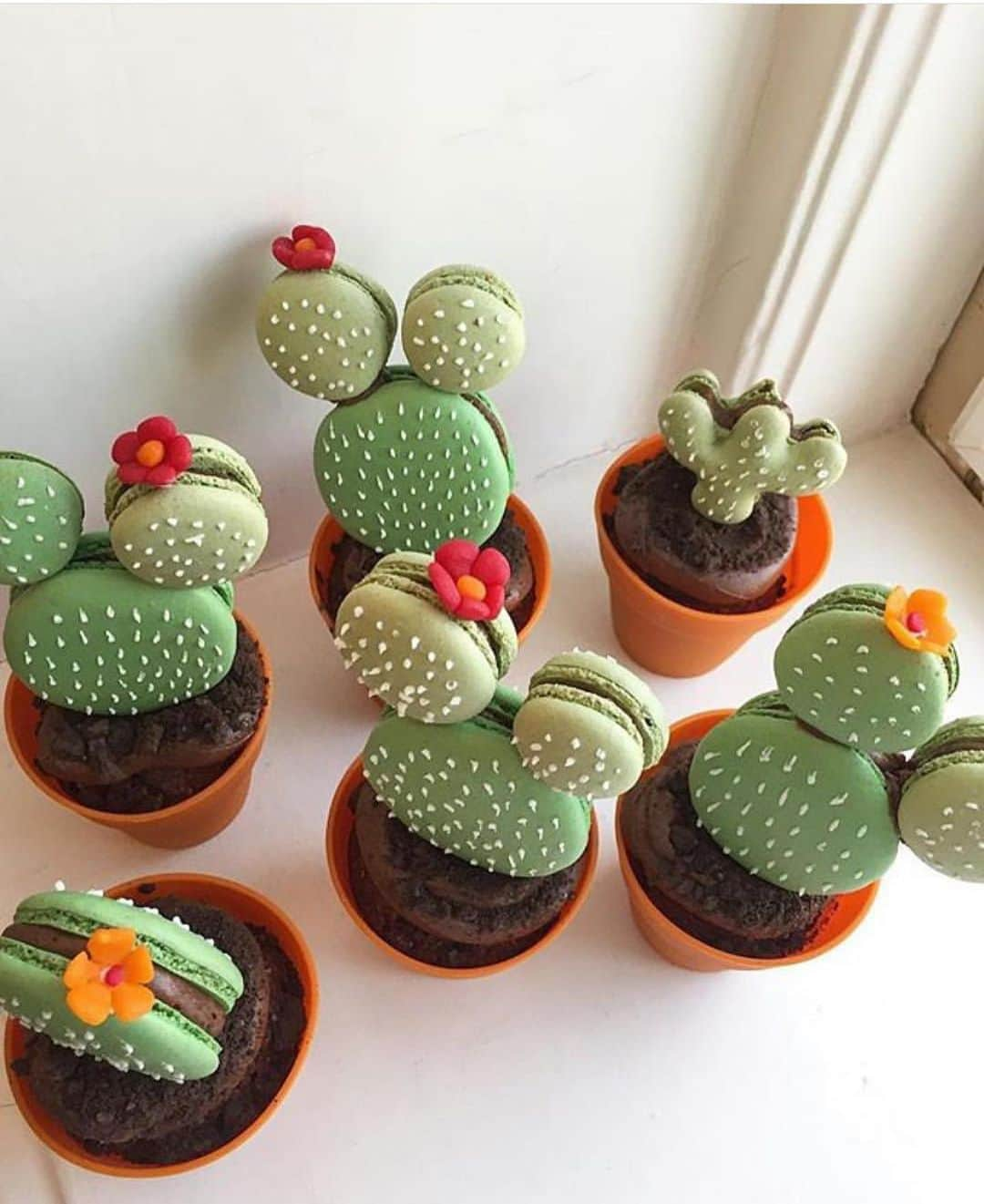 さんのインスタグラム写真 - (Instagram)「Tag your friends and follow @everydayplants_la #cactus #cacti #plantlover #plants #dessert」5月12日 14時53分 - meekind_com