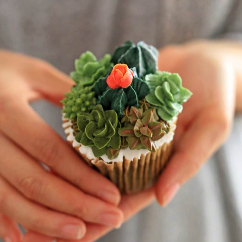 The Louunのインスタグラム：「#succulentsofinstagram #succulents #dessert Tag someone who would love this #cupcake #cactilover #cactus #plants」