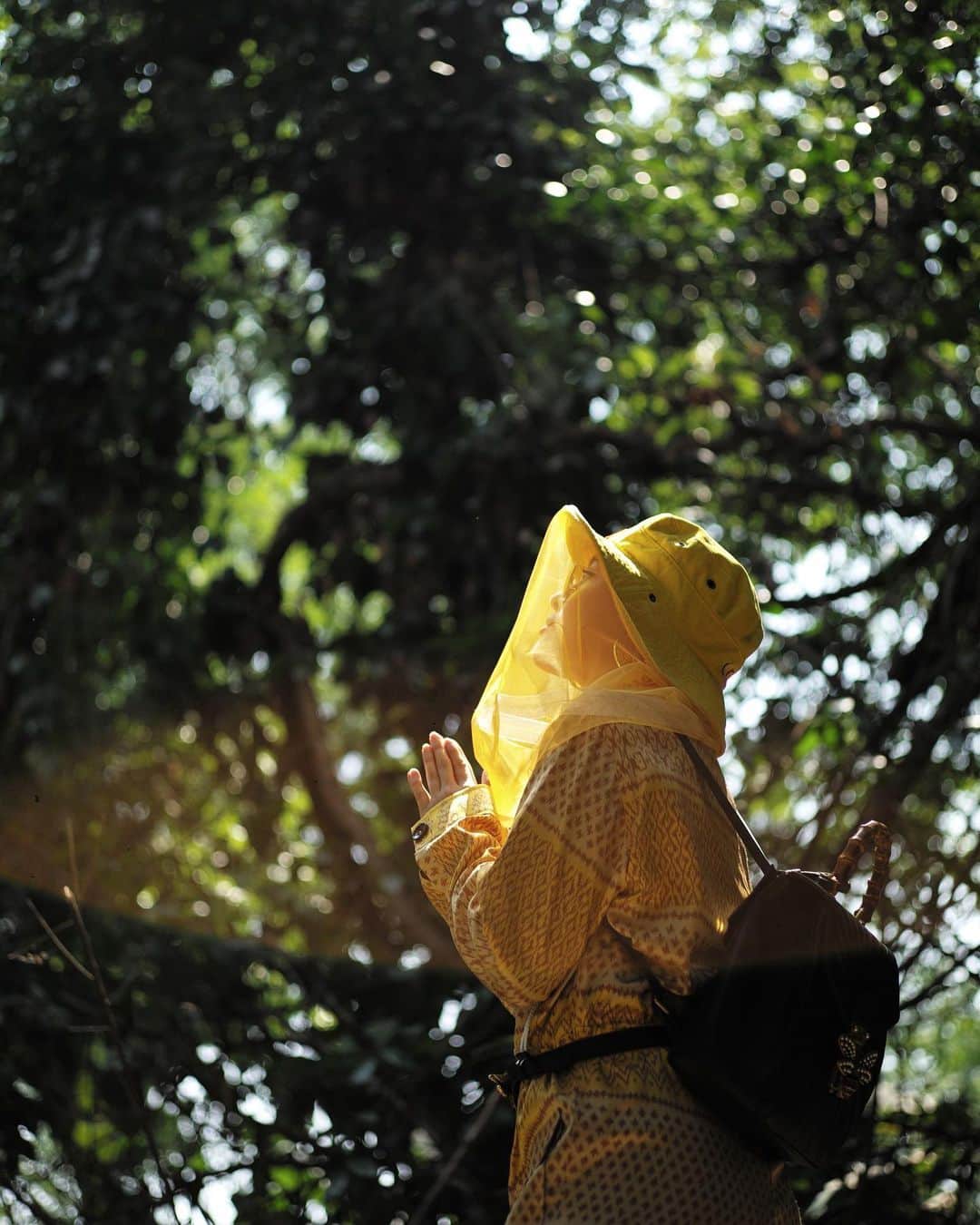 Amata Chittaseneeさんのインスタグラム写真 - (Amata ChittaseneeInstagram)「The Honey Journey begins 🐝🌼 @evemarisa」5月12日 15時07分 - pearypie