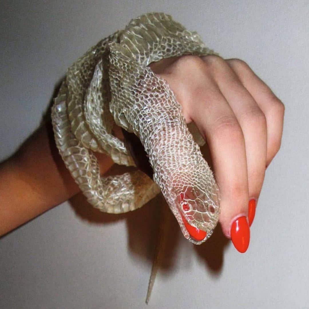 シェイ・ミッチェルさんのインスタグラム写真 - (シェイ・ミッチェルInstagram)「I’m wanting to do a subtle look with my nails - does anyone have a freshly shedded snake skin I can use? 🤪🐍📸: @gabbois」5月12日 15時21分 - shaymitchell