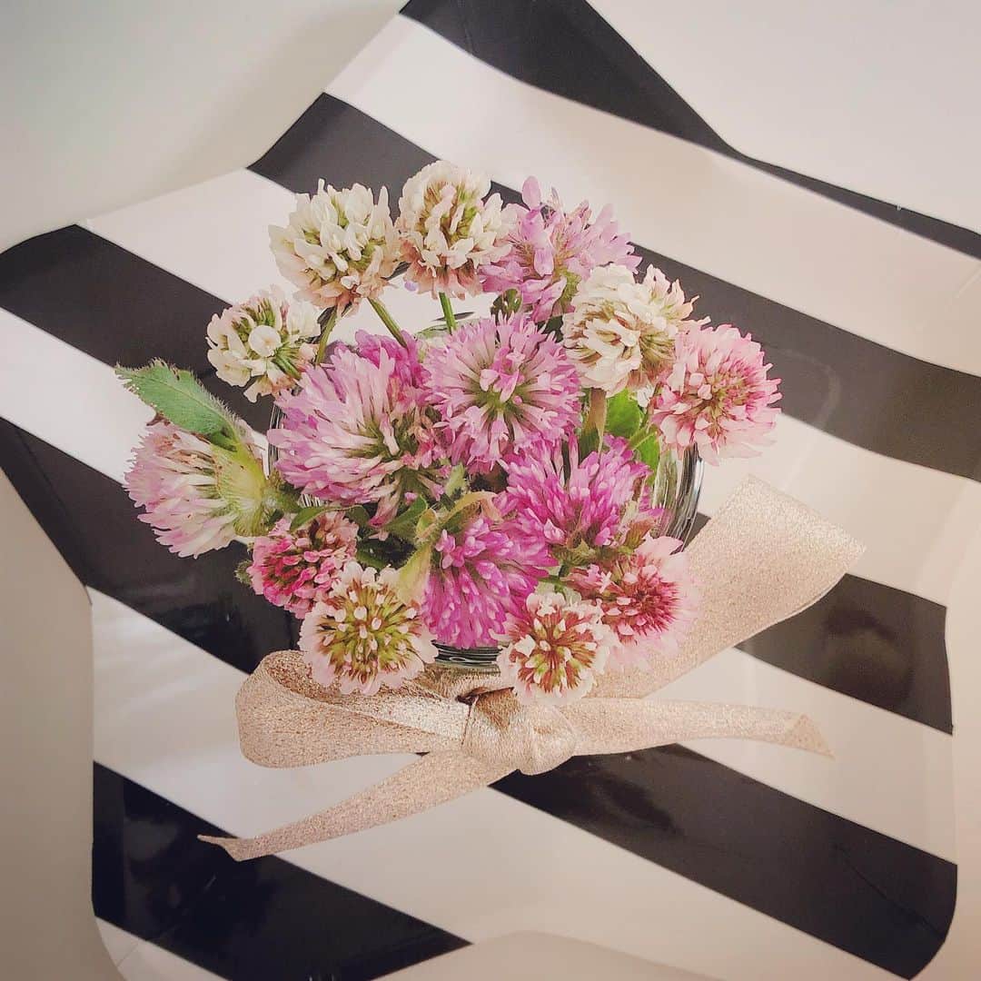のインスタグラム：「母の日のプレゼント💐✨ ・ ・ 子供たちが クローバーの花 シロツメクサとアカツメクサを合わせて花束にしてくれました💖 ・ ・ 母になり8年🤱💖 このような幸福感に恵まれ 子供の成長とともに 自分が成長できることに感謝 ・ ・ ありがとう😉✌️✨💖 #山内智恵 #母の日 #mothersday  #シロツメクサ  #アカツメクサ  #花束 #愛してる #感謝 #ありがとう」