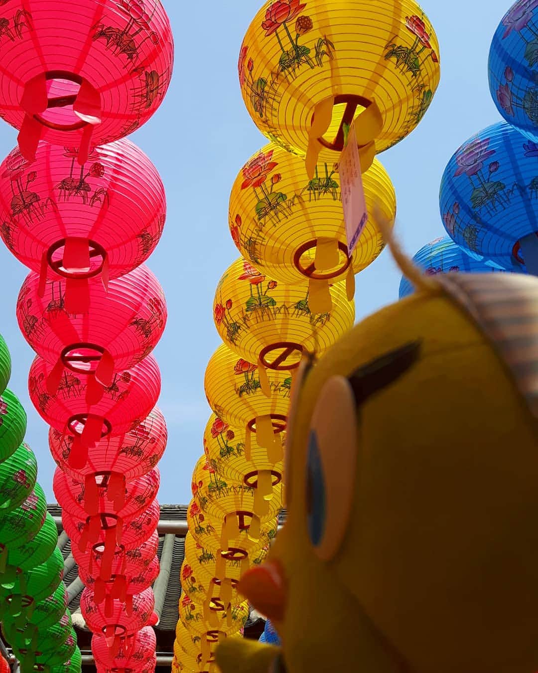 Little Yellow Birdさんのインスタグラム写真 - (Little Yellow BirdInstagram)「Celebrating the birthday of Buddha in South Korea, in the temple Magoksa!! #littleyellowbird #tweety #tweetykweelapis #adventures #yellow #bird #weekend #sunday #southkorea #zuidkorea #korea #magoksa #마곡사 #magoksatemple #temple #buddha #celebration #lampion #travel #traveling #wanderlust #colourful #stuffedanimalsofinstagram #plushiesofinstagram」5月12日 15時42分 - tweetykweelapis